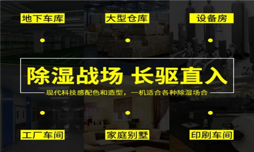 制药厂片剂包装车间湿度控制设备 颗粒包装间湿度管理设备