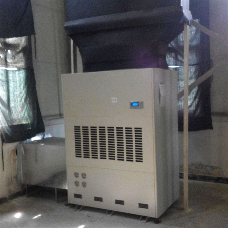 贴花车间湿度调控：揭秘高精度的除湿艺术